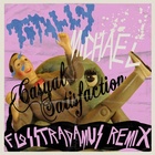 Casual Satisfaction (Flosstradamus Remix) (Clean Version)