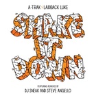 Shake It Down