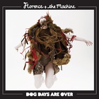 Dog Days Are Over (Breakage Remix)