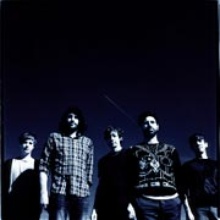 Foals
