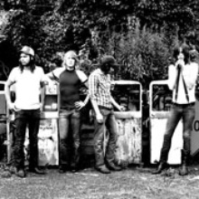 The Wildbirds
