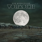 New Moon Rising Remixes