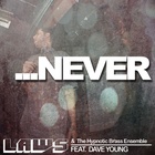 Laws & The Hypnotic Brass Ensemble - Never (feat. Dave Young)