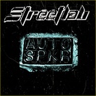 ---[ Auto Spkr ]---