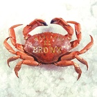 El Bronx