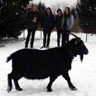 Bock Bock Parade