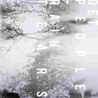Rain Tears EP