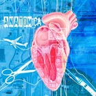 Anatomica