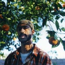 Madlib