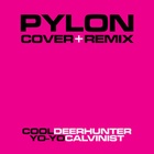 Yo-Yo (The Calvinist Unsaved Mix)