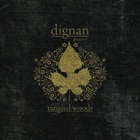 Tangled Woods Sessions