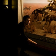 Shearwater