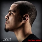 Grown Simba