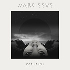 Narcissus