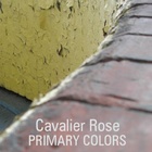 Primary Colors