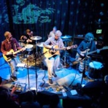 The Feelies