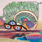 Brain Cycles