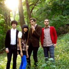 The Pains of Being Pure at Heart