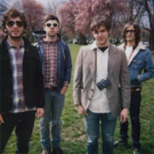The Dead Trees