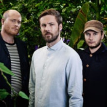 The Bees