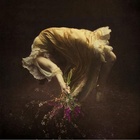 Aviary (Mogwai Remix)