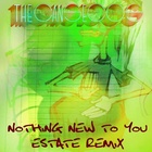 Nothing New To You (Estate Remix)