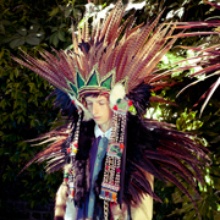 Totally Enormous Extinct Dinosaurs