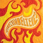 The Unbeliever