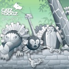 Stars of Zoo