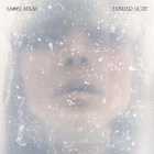 Familiar Light (Twins Remix)