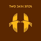 Two Dark Birds