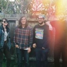 Young Prisms