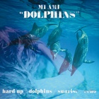 Dolphins