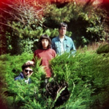 The Beets