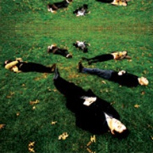 White Rabbits