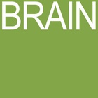Brain