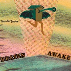 Thunder$troke